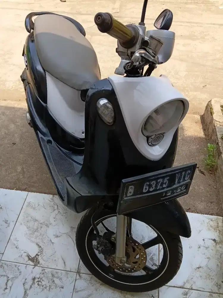 Fino karbu 2012
