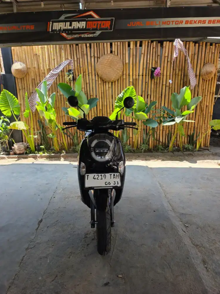 HONDA SCOOPY 2026