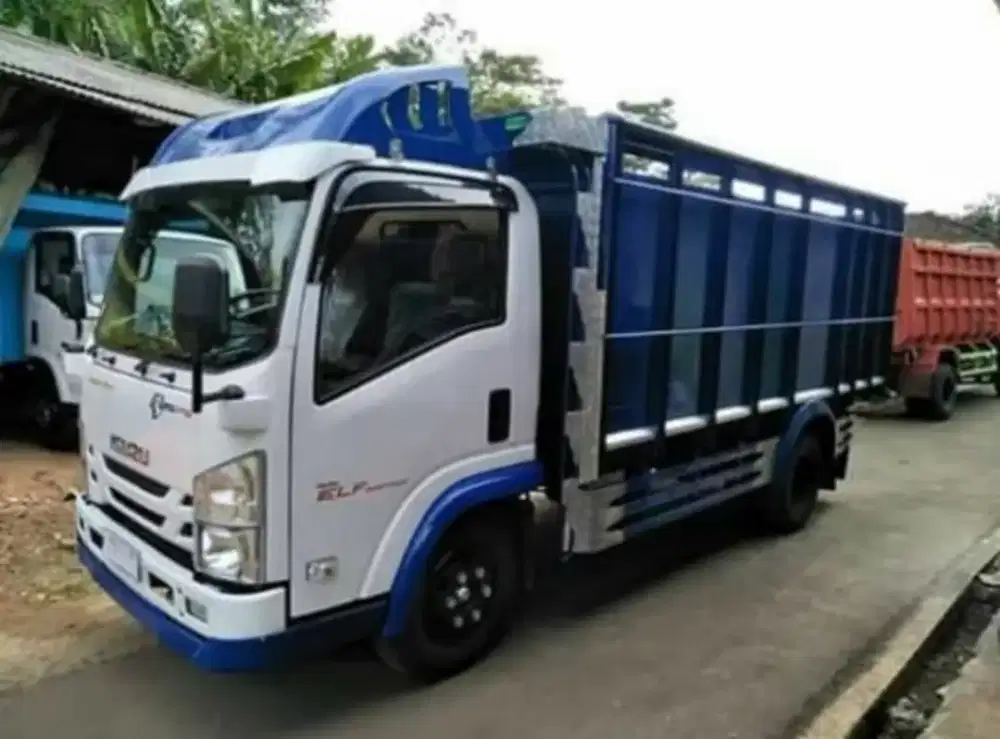 NMR 71T SD 2021