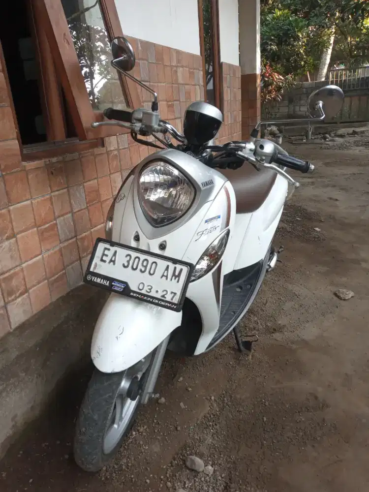 FINO PREMIUM 2022
