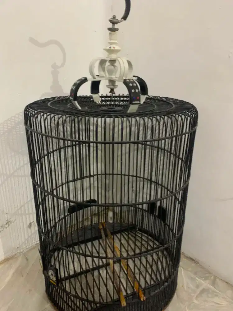 Sangkar murai besar oriq jaya