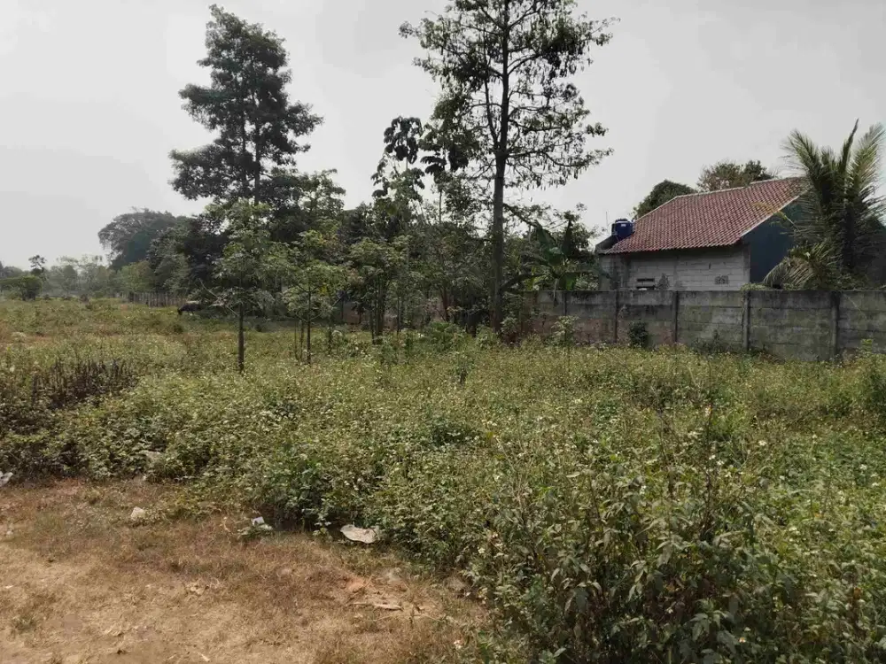 jual tanah Cisauk bsd