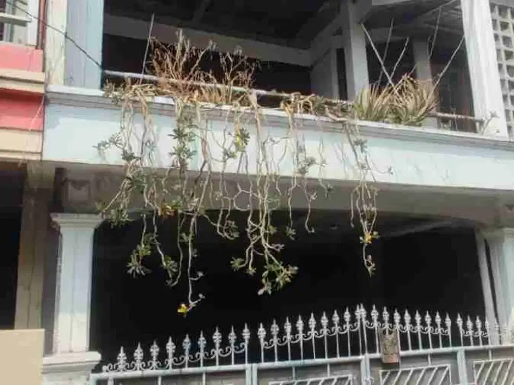 Rumah Di Kelapa Gading Timur
