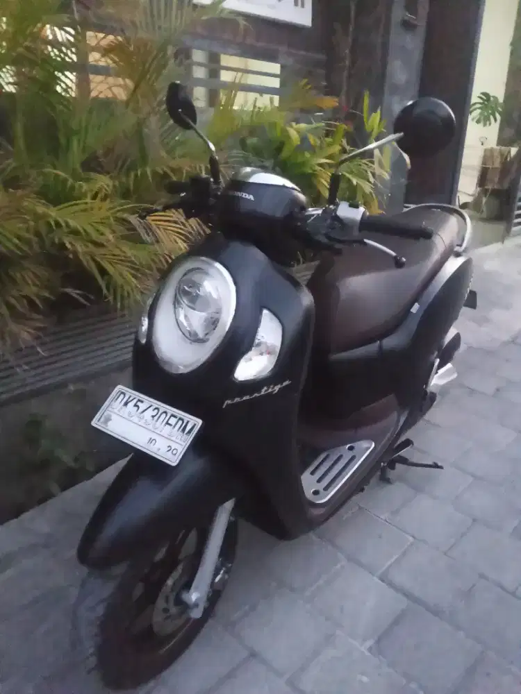 Scoopy prestige 2024