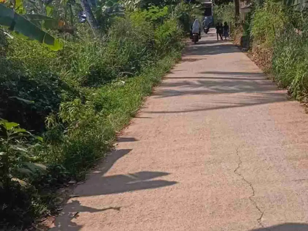 dijual tanah Cisauk BSD