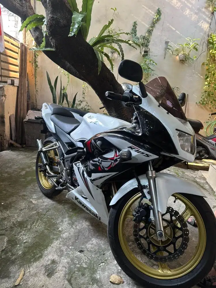 jual aja ninja RR new 2012 SE