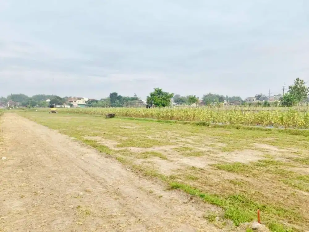 Tanah murah Savana Sidoarum 5 Menit POLDA DIY Baru