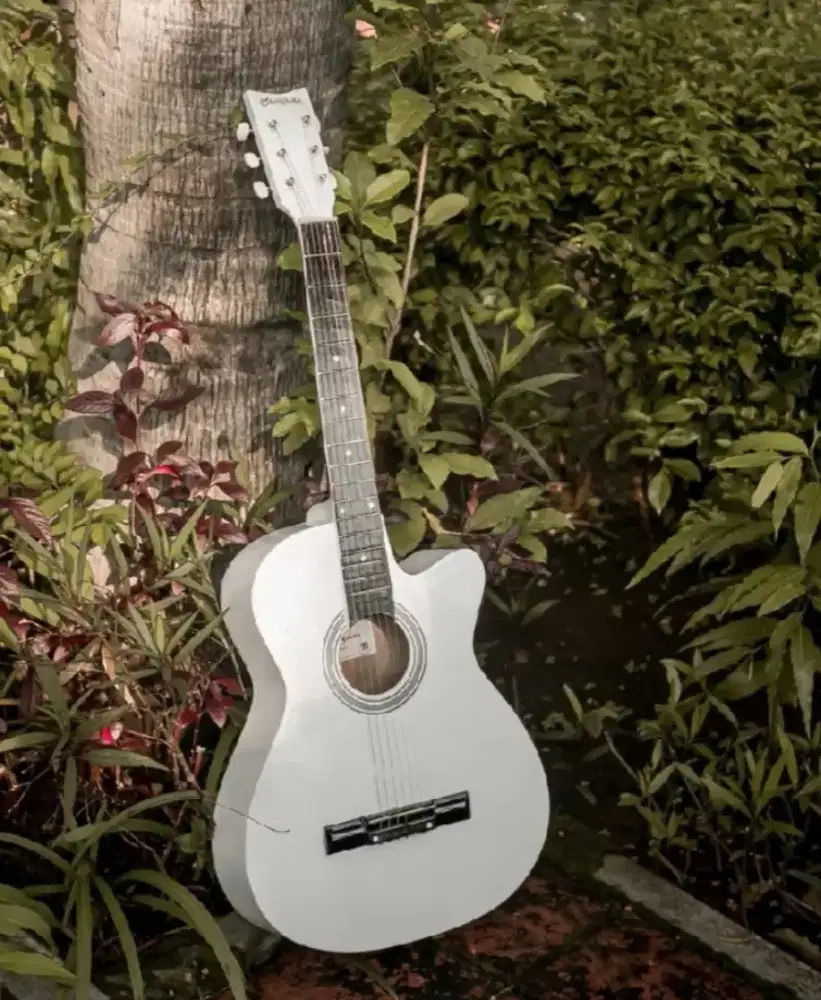 Gitar Akustik Pemula, Putih - 100% Baru