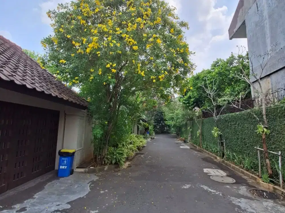 For Rent - Compound House in Kemang, Walking Distance to Kemang's Lifestyle Hub