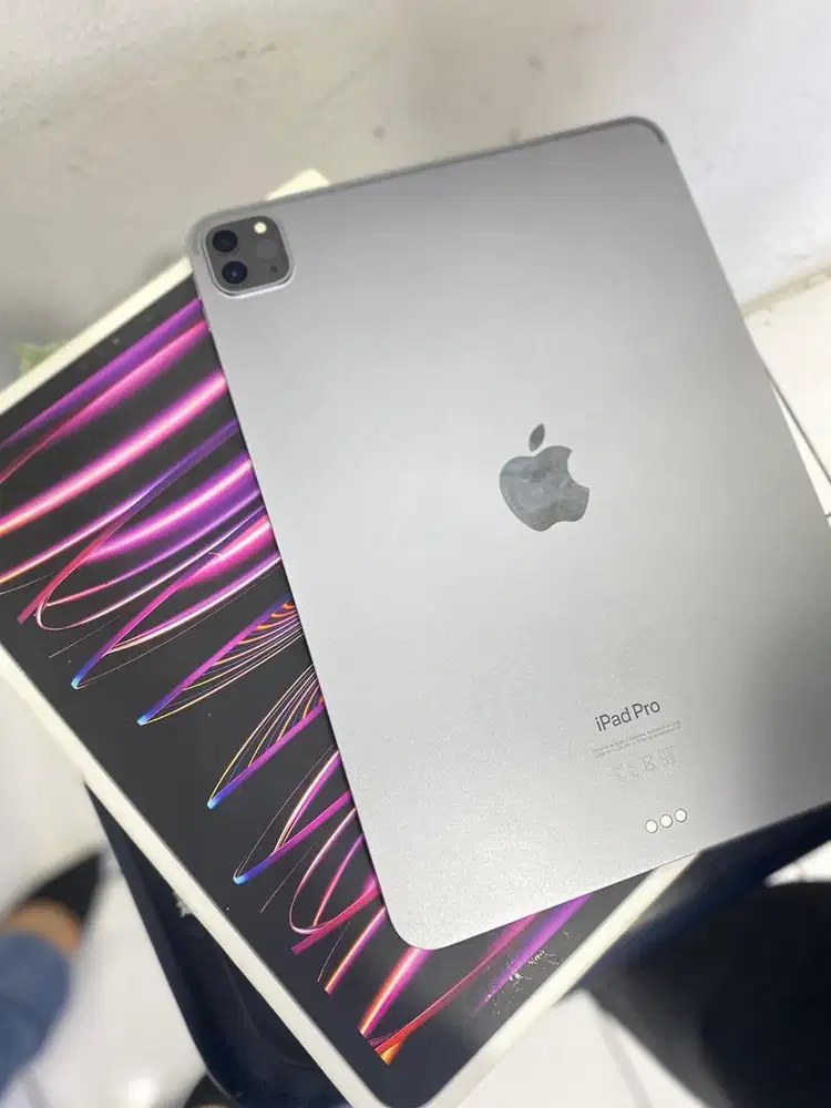 Ipad pro 11 inci 256gb second ibox