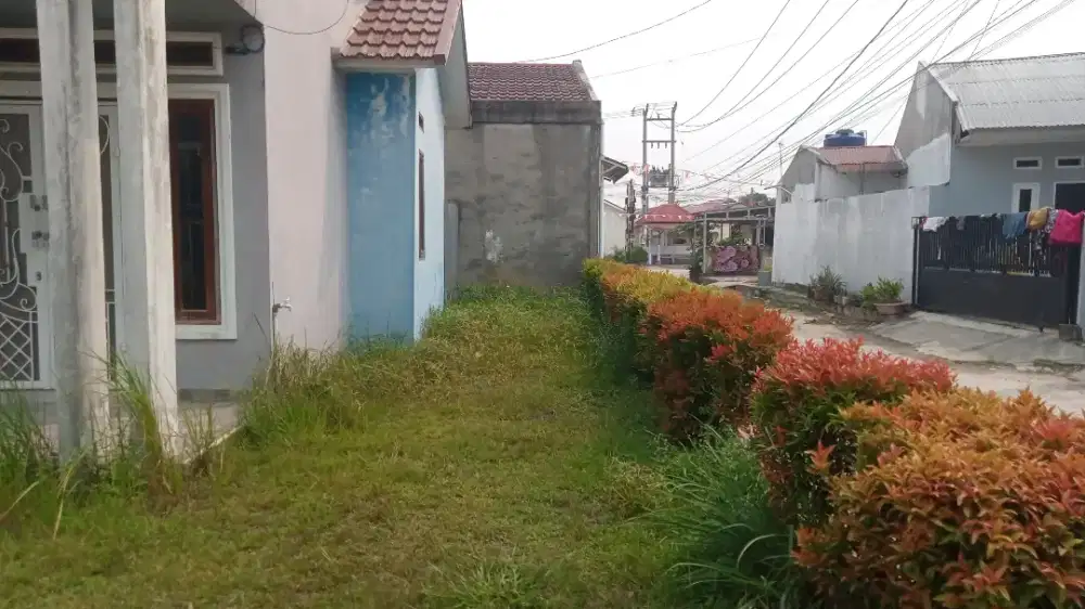potong rumput panam sekitar