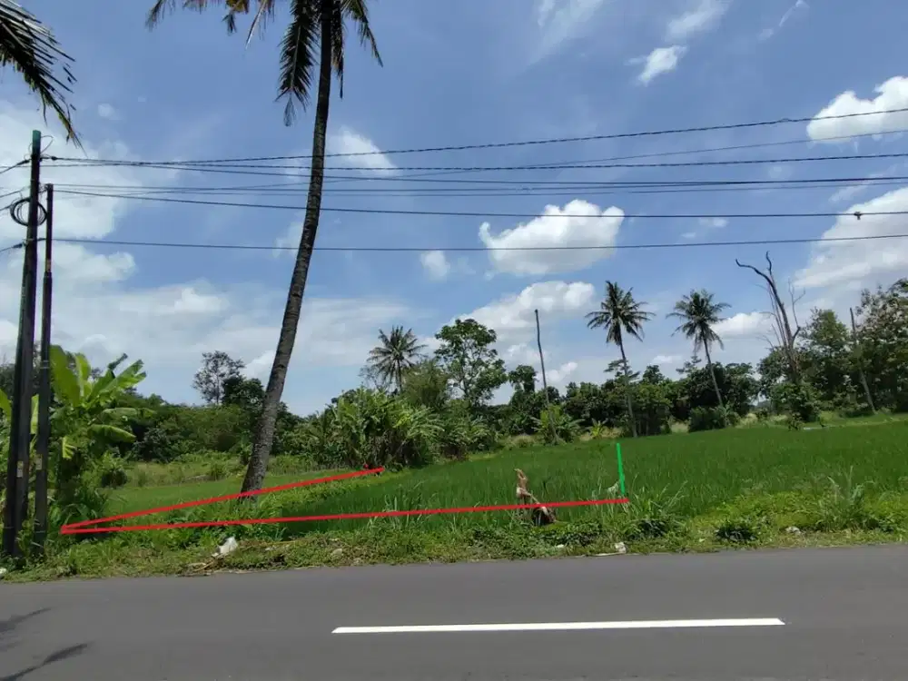Tanah Strategis Tepi jalan raya Wedomartani Lt 380 m2 SHM
