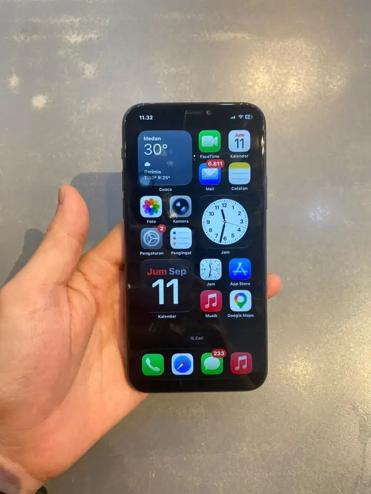IP11 PRO 256 INTER
