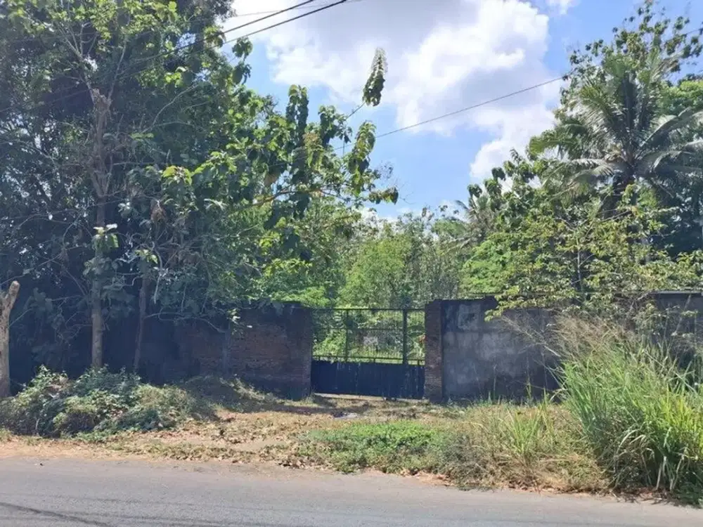 Tanah Luas Strategis Dekat Secang Magelang