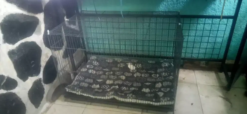 Kandang anjing ga dipake lagi atau bis buat kucing kelinci lainnya