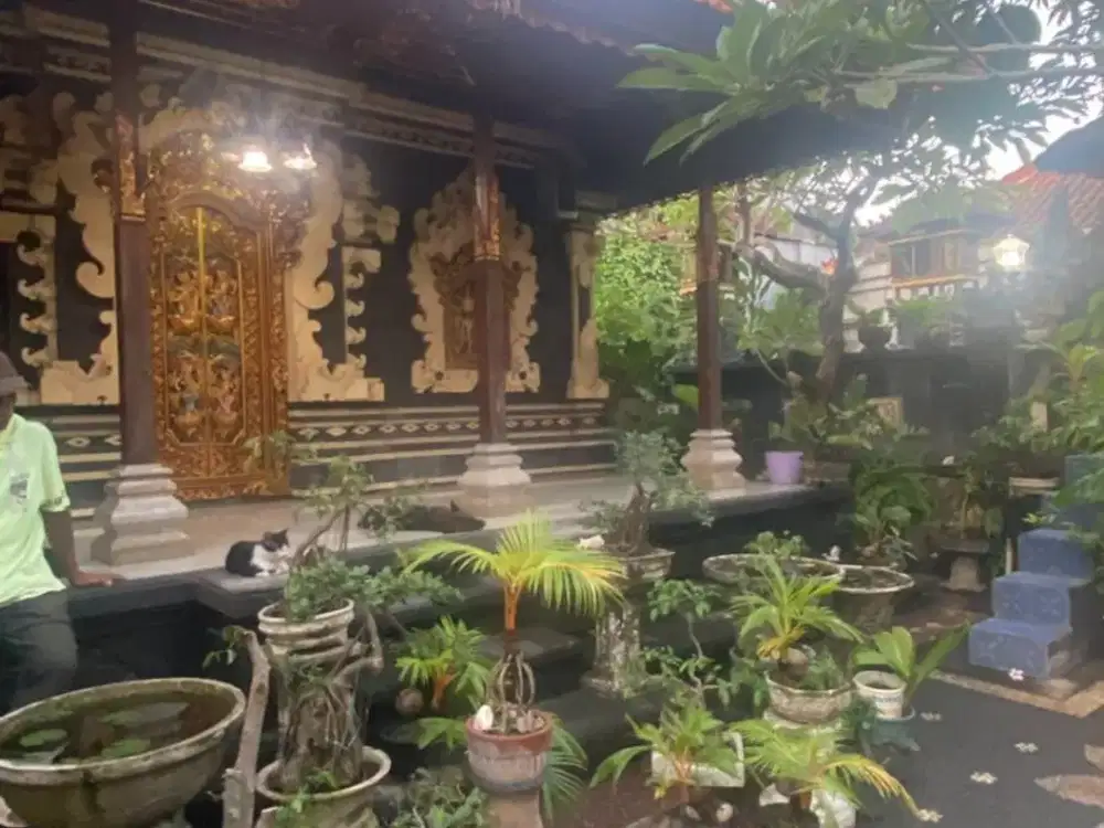 DIJUAL TANAH BONUS RUMAH STYE BALINES