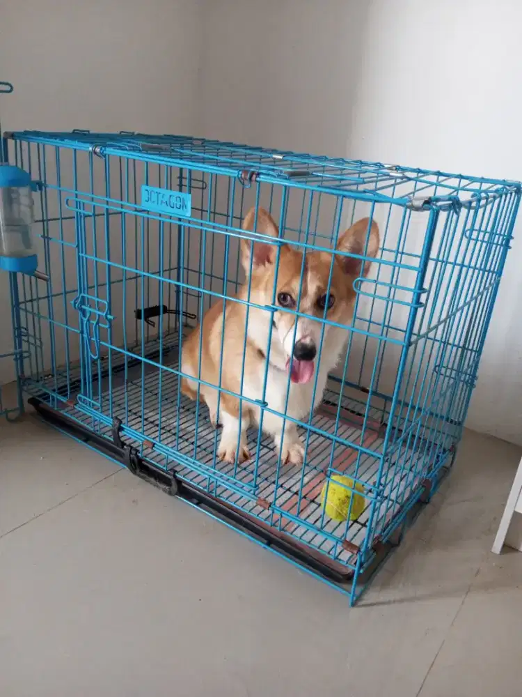 Kandang Anjing atau Kucing Dijual