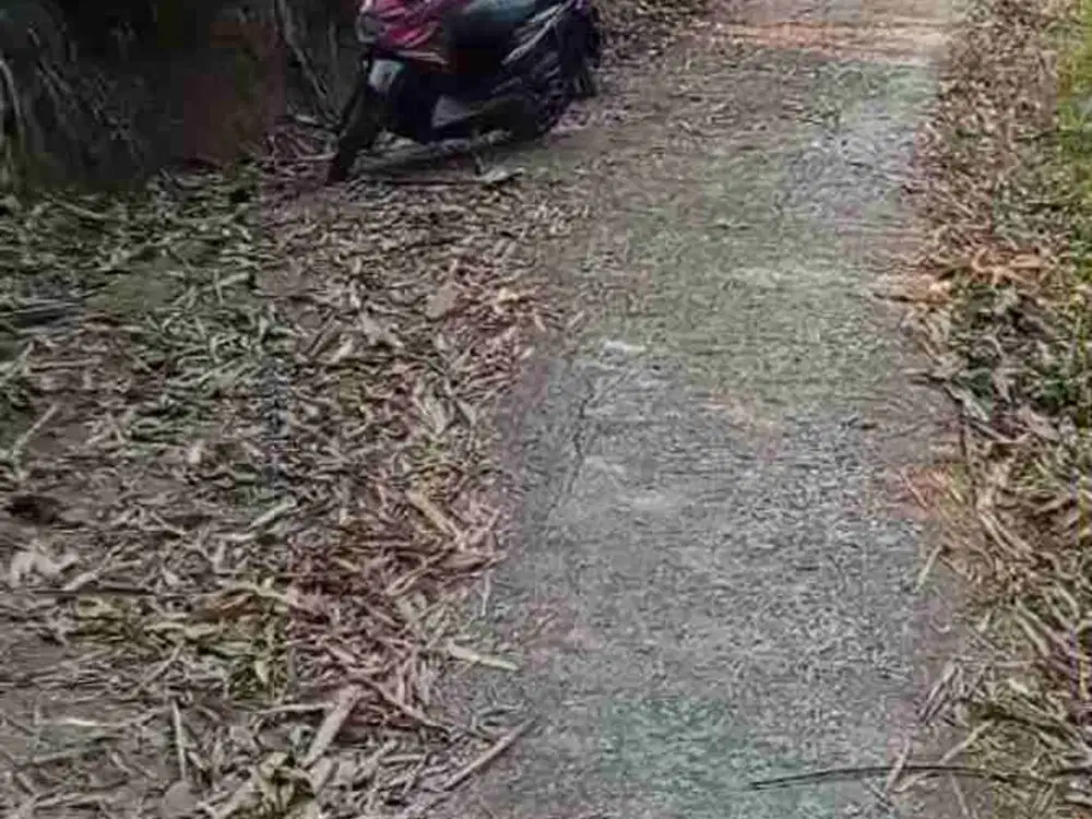 tanah darat kebun