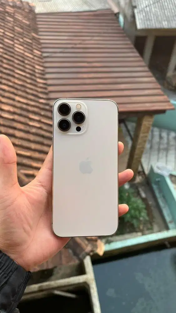 iPhone 13 Pro Max 256GB Beacukai