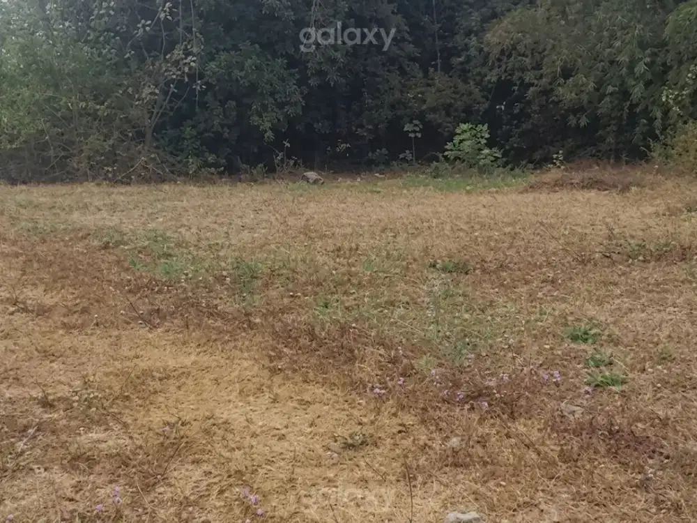Tanah Kavling Perumahan Pakisjajar Pakis Malang GMK04221