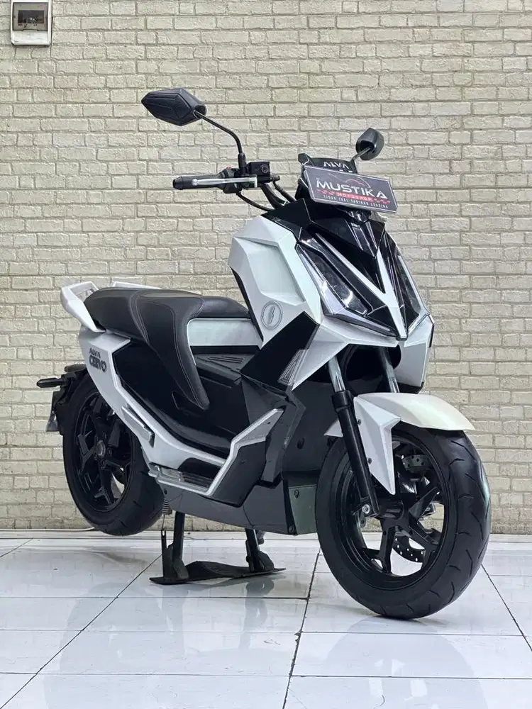 Alva Cervo white collor 2024