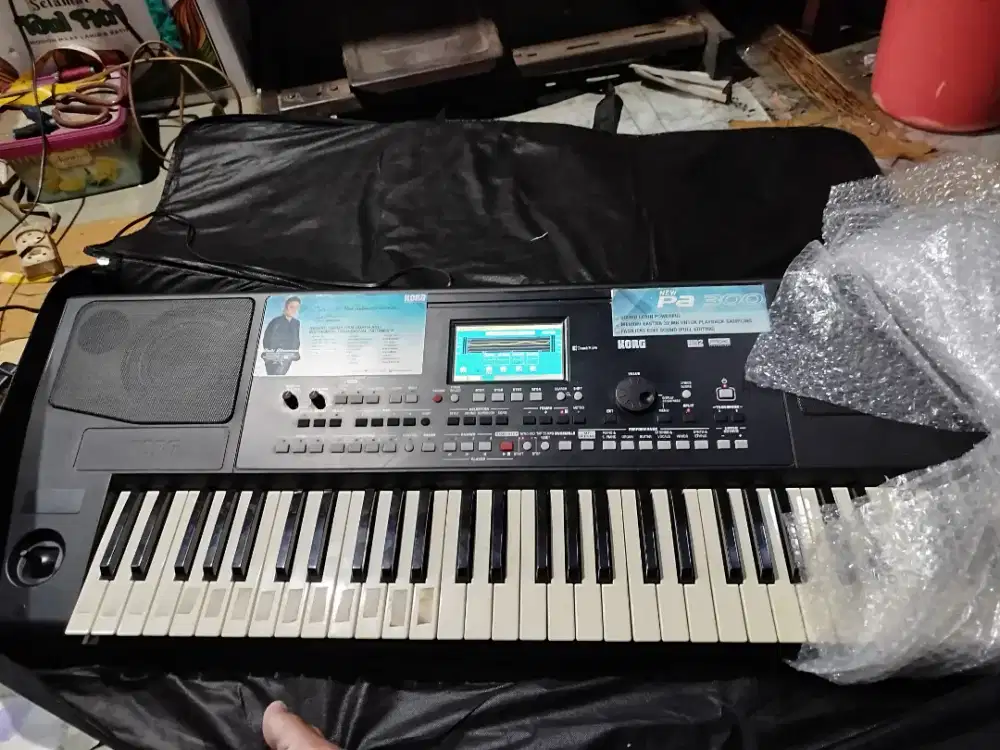 Korg pa 300 v2 segel mulus
