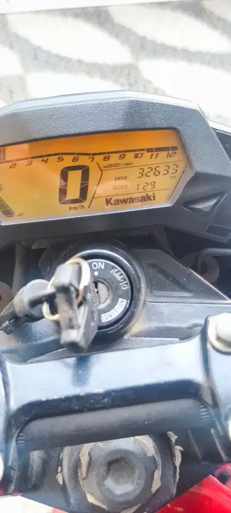 Kawasaki Ninja  Z250