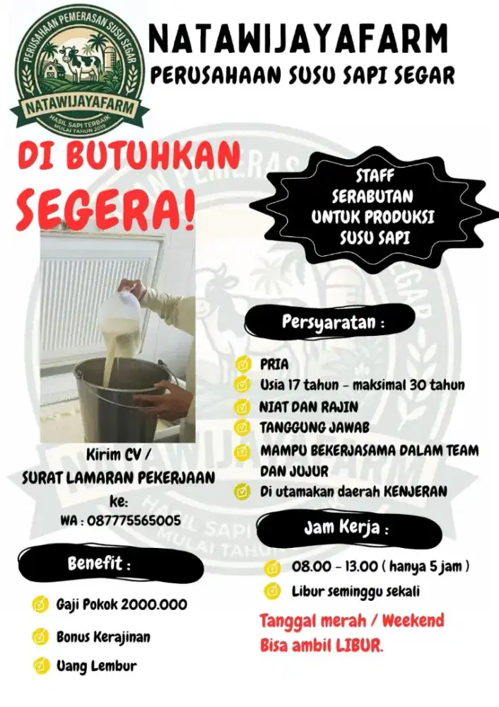 Lowongan kerja serabutan untuk laki-laki
