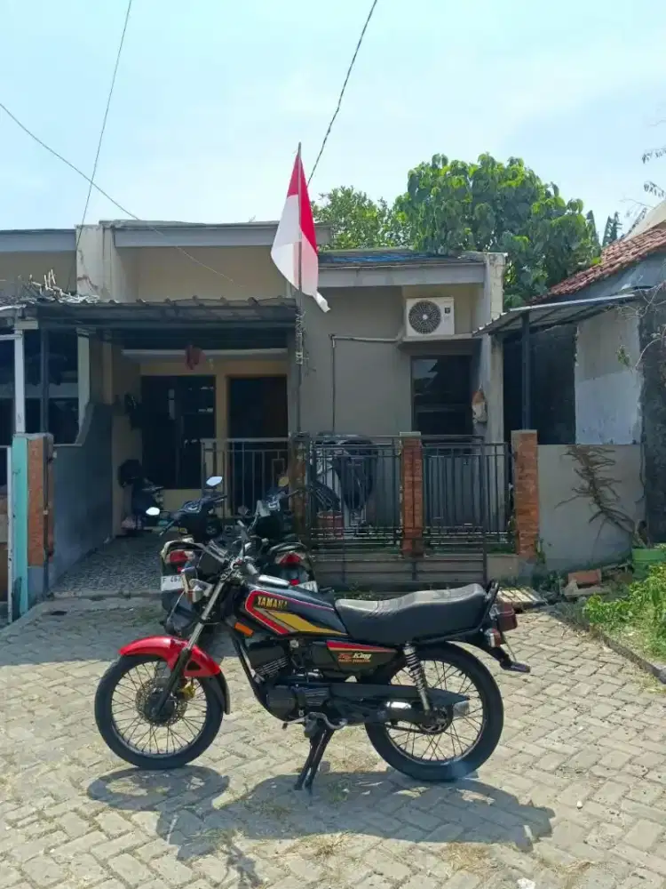 YAMAHA RX KING COBRA