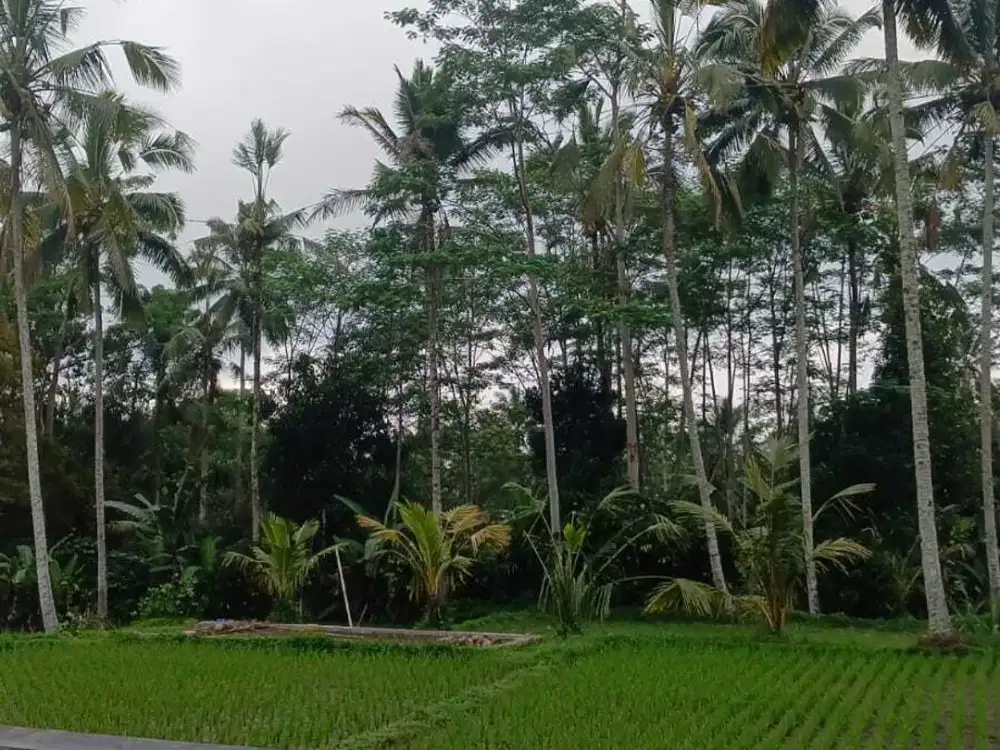 Jual Cepat Unit Villa Stana Giri Ubud Gianyar Bali Ada Private Pool