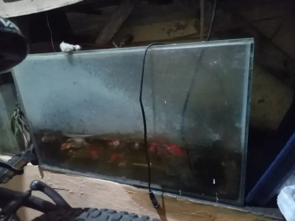 Aquarium bekas layak pakai.tidak bocor