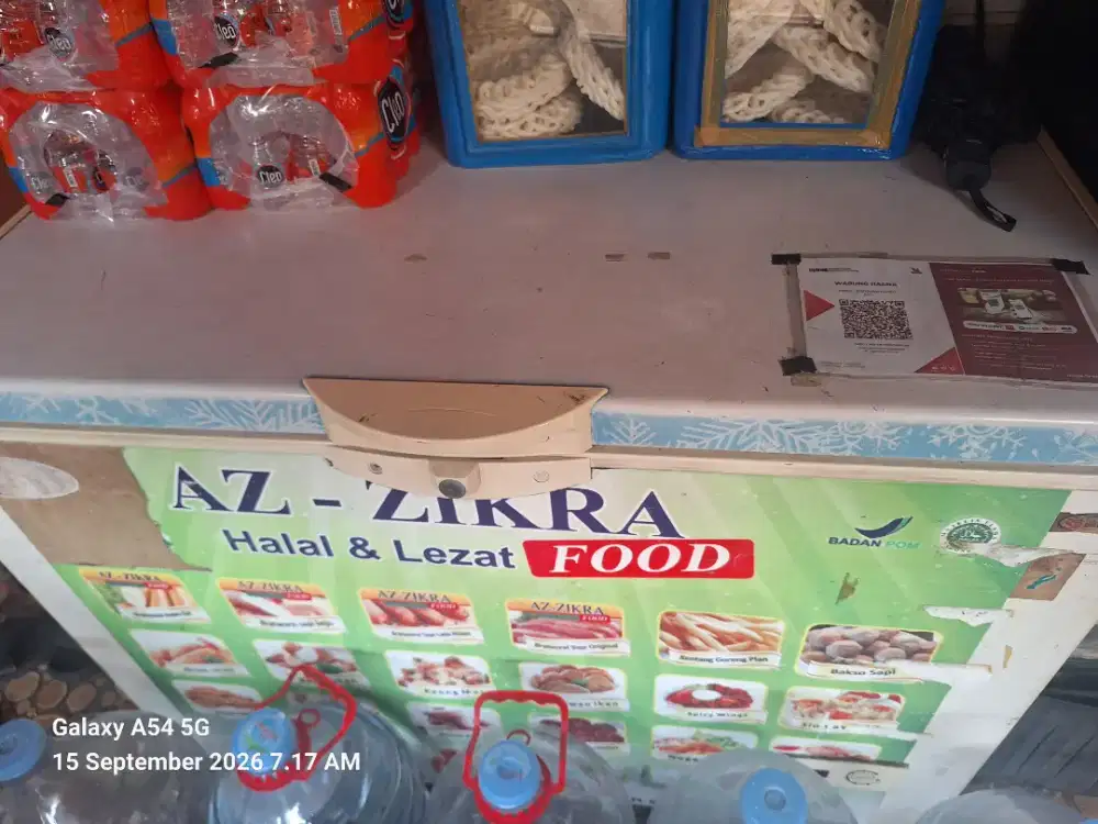 Freezer frozen food cocok buat usaha