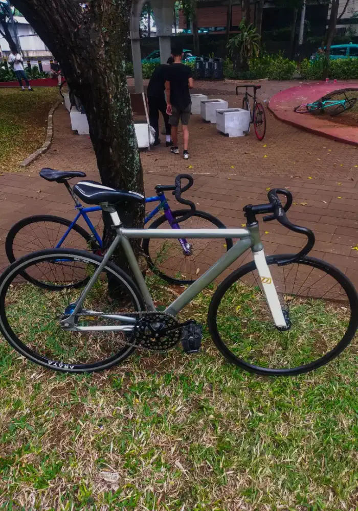 Sepeda fixie WTS FB PCO LITE