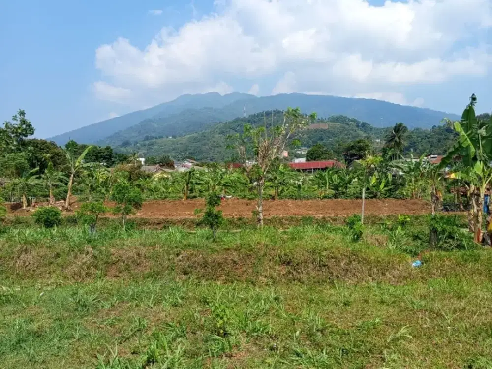Dijual Tanah 7500 m2 di Cibadak, Cijeruk, Bogor