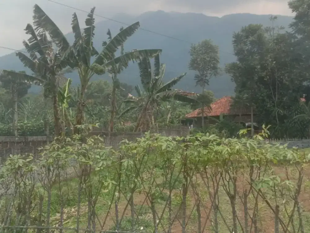 Dijual Tanah 312 m2 di Ciburayut, Cigombong, Bogor