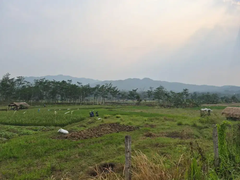 Dijual Tanah 5 Hektar di Singasari, Jonggol, Bogor