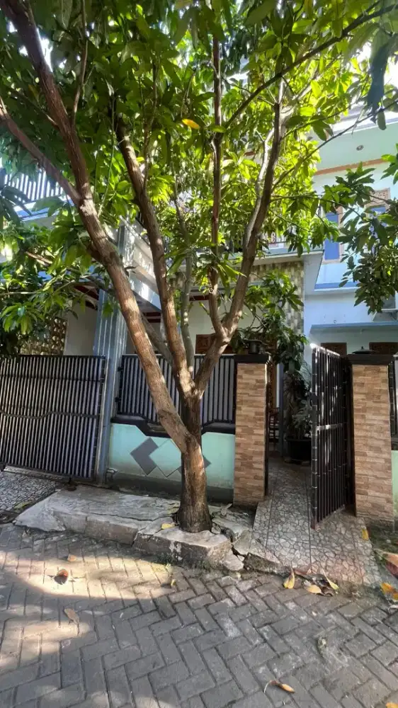 Dijual Cepat Rumah 3 Lantai full semi Furnish