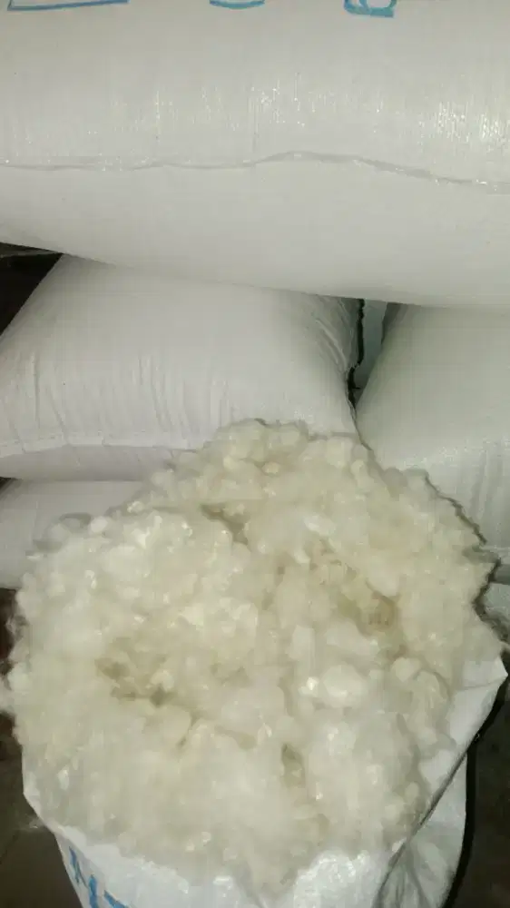 Kapuk randu asli