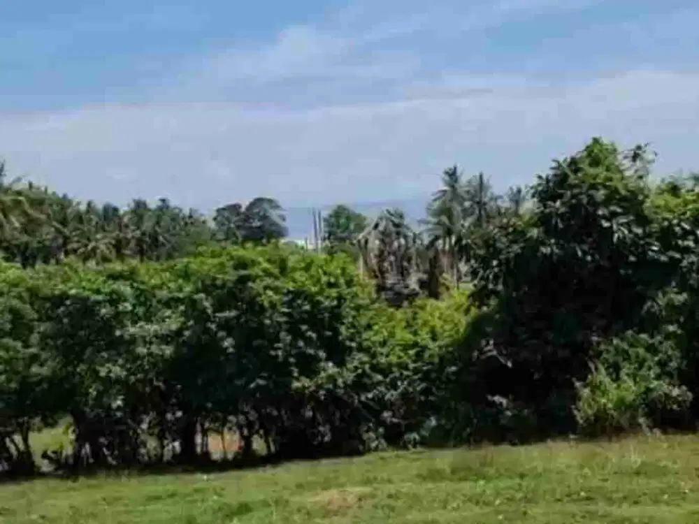 Land for sale beachfront,Yeh Leh - Negara