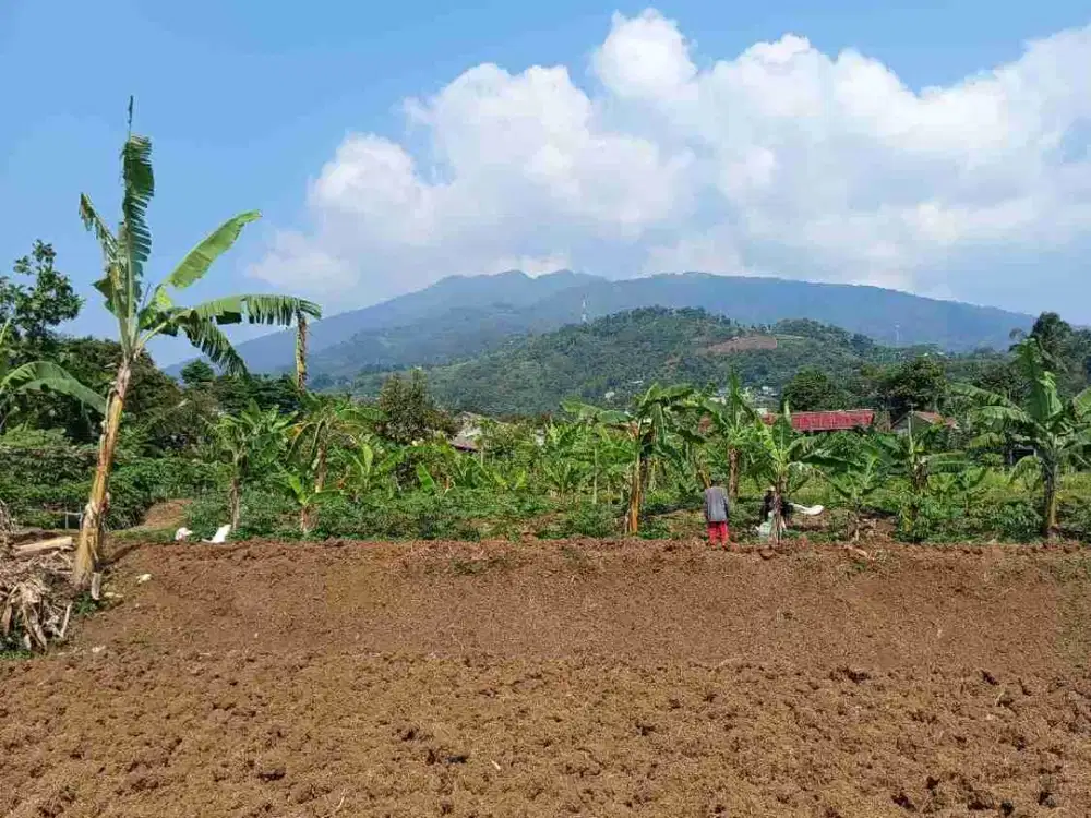Lokasi Murah jual cepat Buat Villa di cijeruk bogor selatan