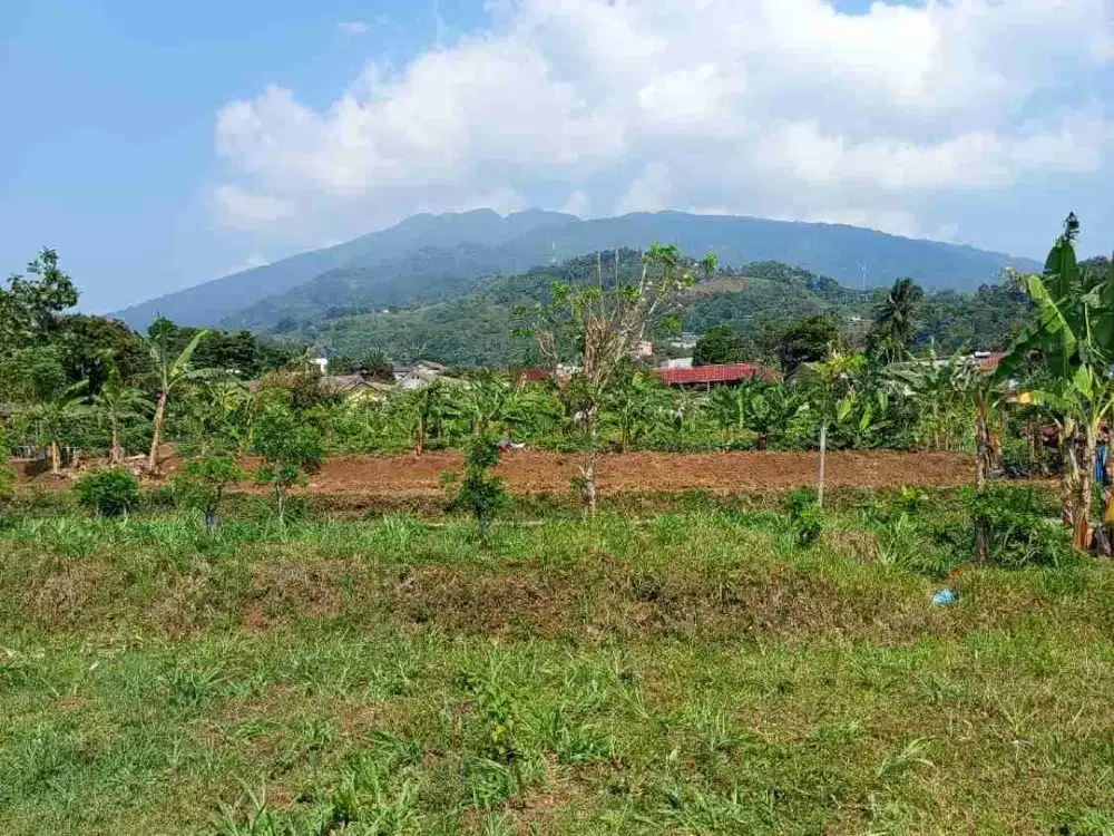 Jual lokasi Sejuk Sartipikat Di cijeruk bogor Buat Villa