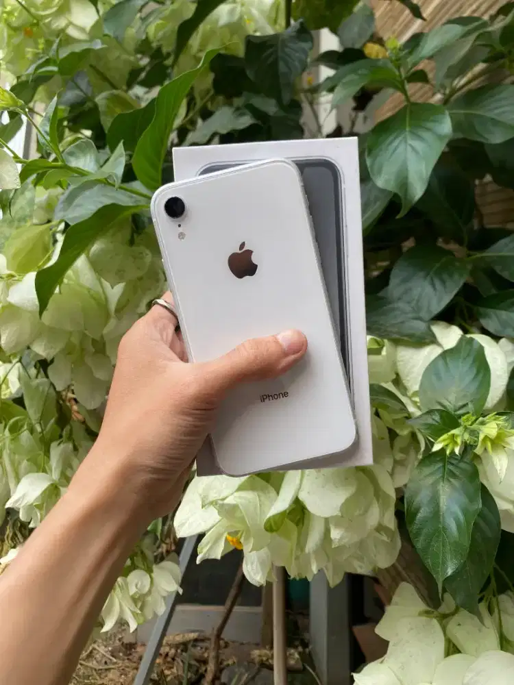 iPhone Xr 64gb White