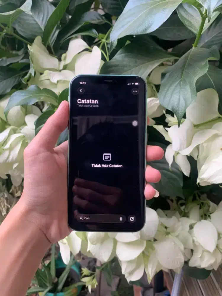 iPhone 11 64gb Tosca