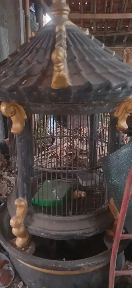 dijual sangkar burung/ayam 2 unit