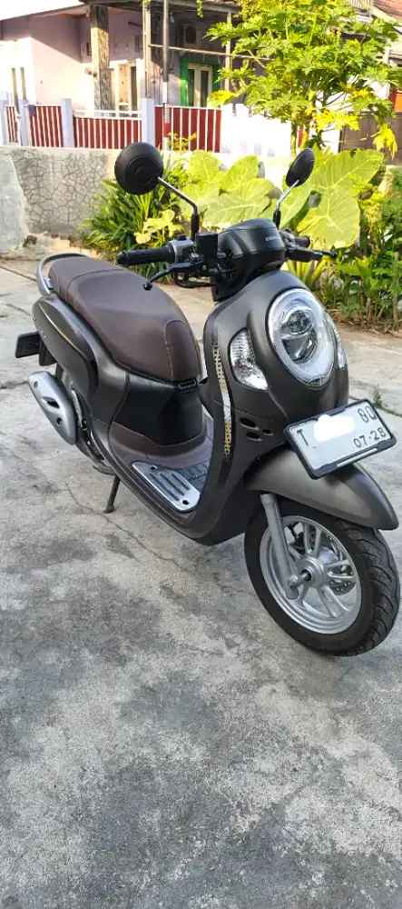 Scoopy kayles 2023