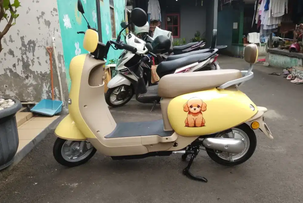 Sepeda listrik goda mango