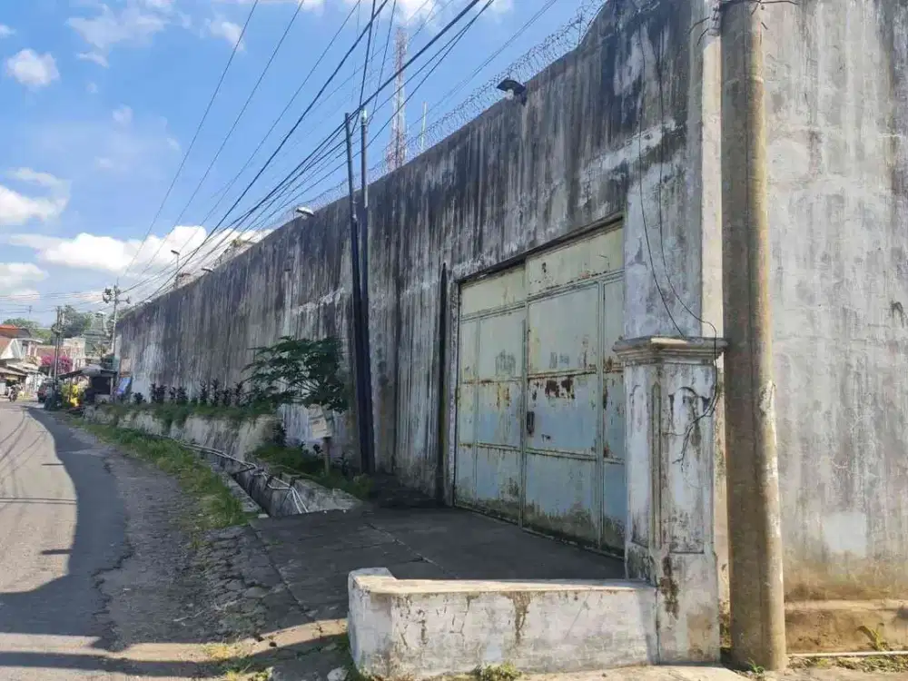 Rumah Sarang Burung Walet Lumajang