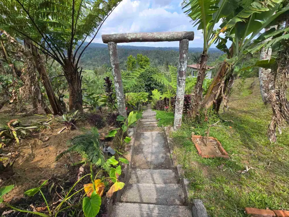 Dijual tanah bonus villa dengan view gunung sawah dan lembah di bali