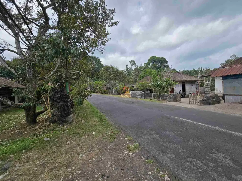 BUC TANAH DATAR ZONA KUNING DI TABANAN BALI