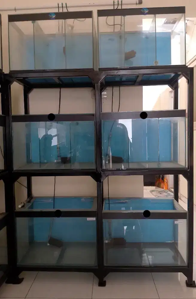Aquarium 60x40x40 6pcs + Rak Hollo Galvanis 3susun
